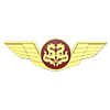 龙程汽车